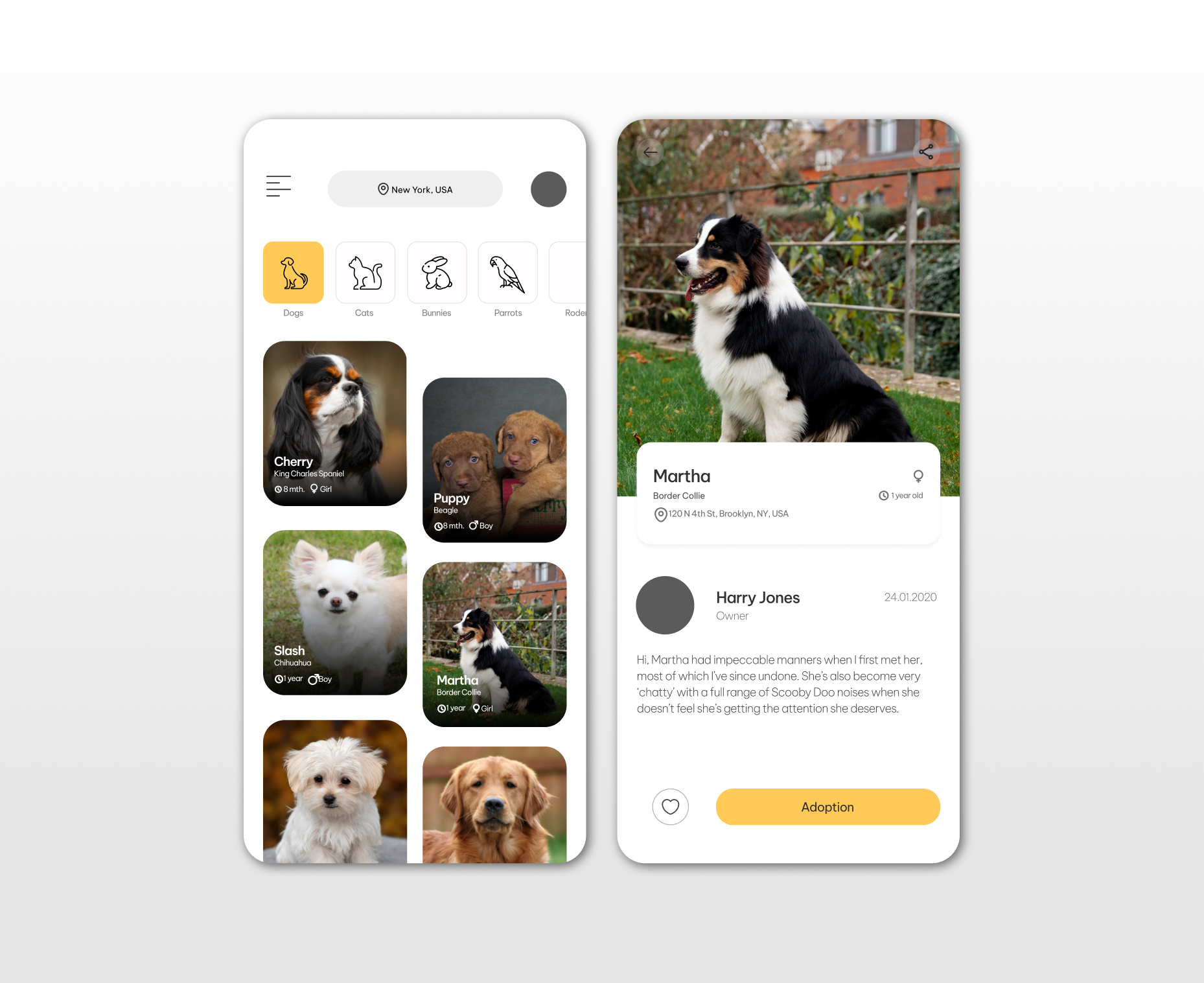 Pet Adoption Mobile App UI